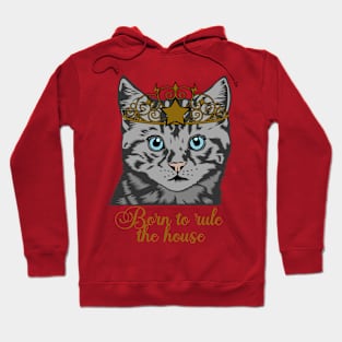 Kitten Rule House Hoodie